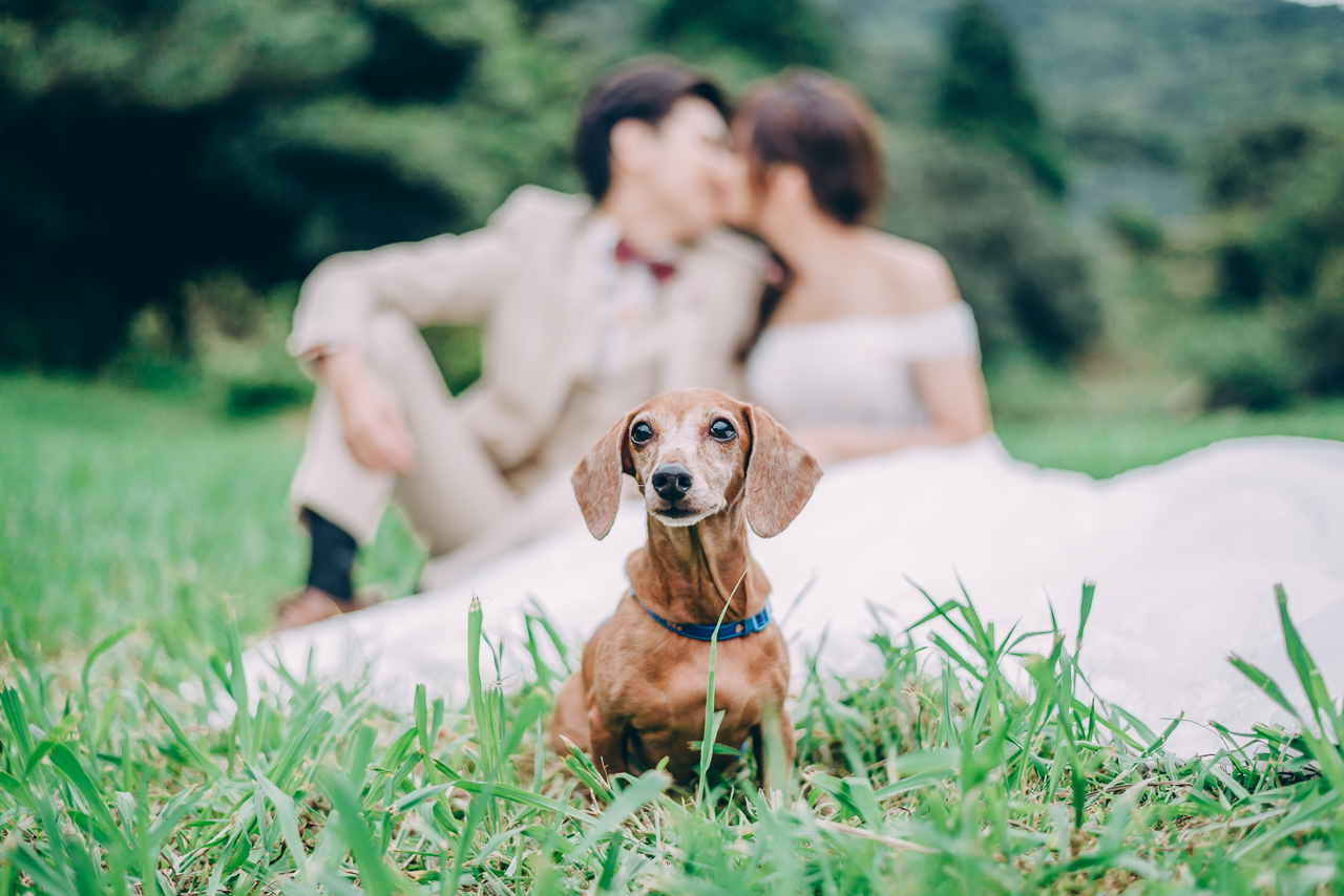 皓鈞+宛萱自助婚紗-婚攝大嘴工作室 (38)