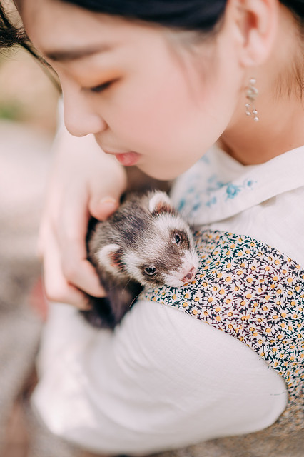1090322PET2-015