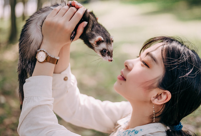 1090322PET2-018