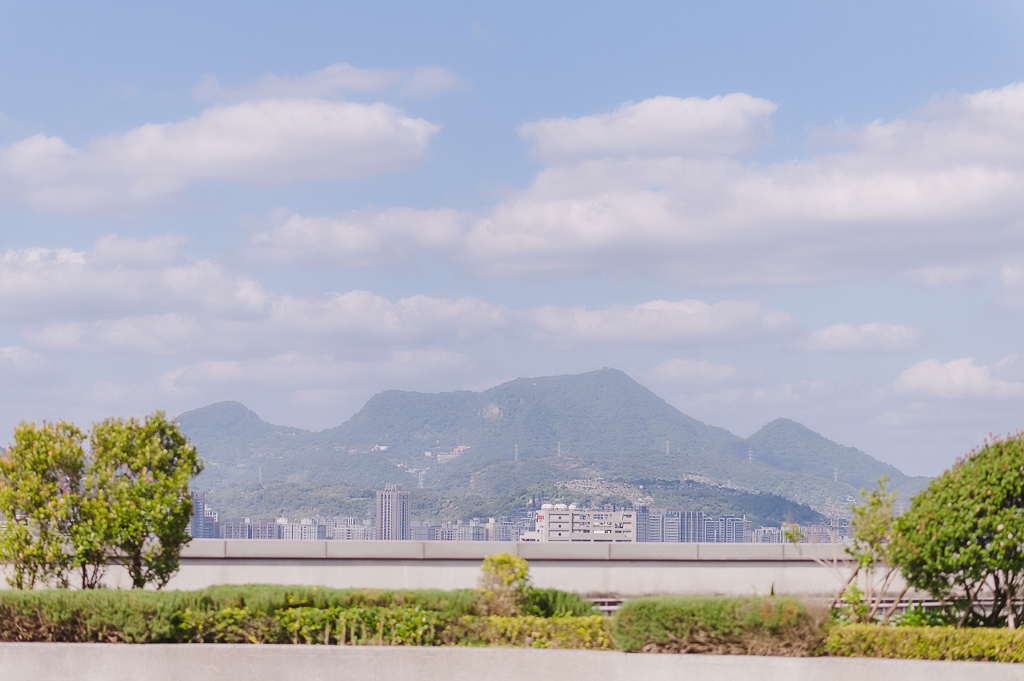 婚攝大嘴-0082