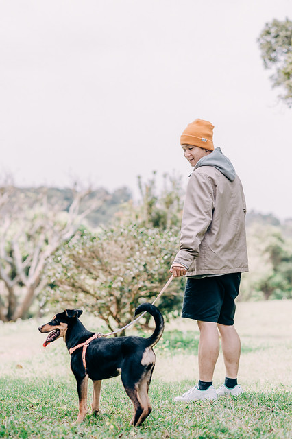 1090322dog1-022