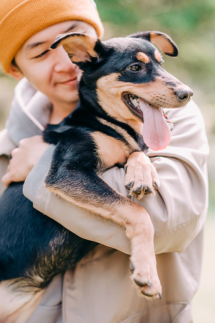 1090322dog1-017