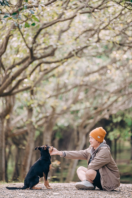 1090322dog1-004