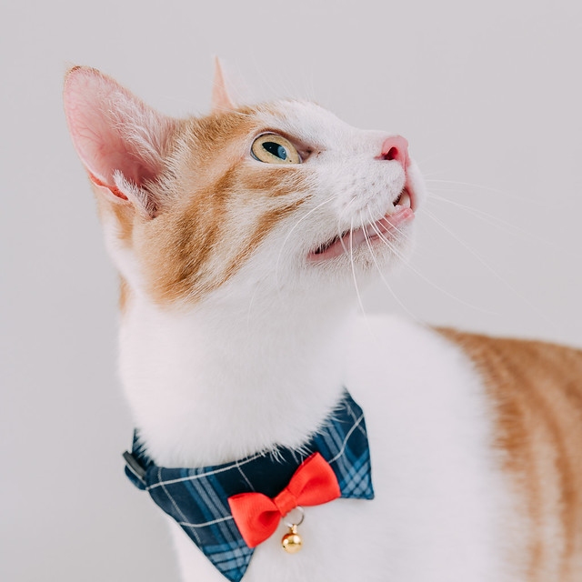 1090322CAT3-007