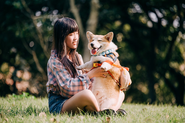 1090322DOG4-016
