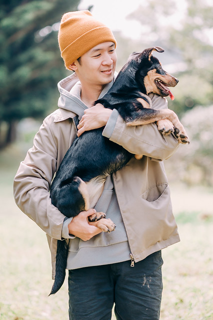1090322dog1-016
