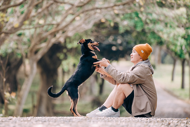 1090322dog1-003