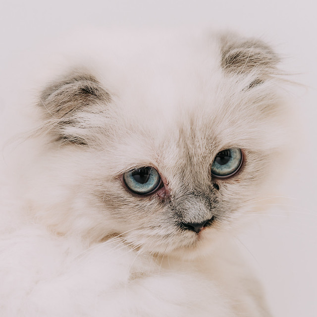1090322CAT6-007