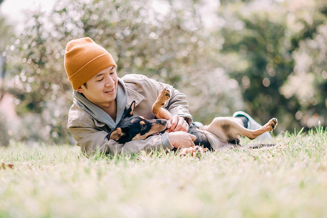 1090322dog1-023