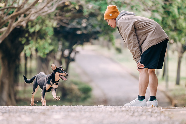 1090322dog1-002