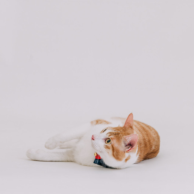 1090322CAT3-004