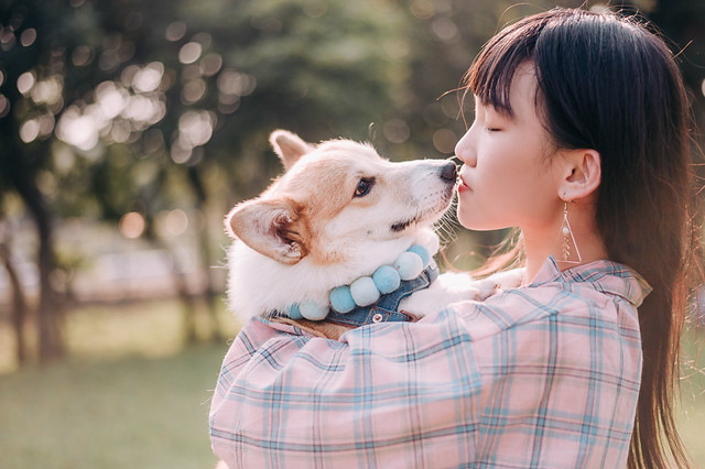 1090322DOG4-017