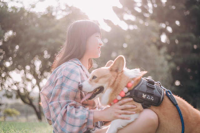 1090322DOG4-021