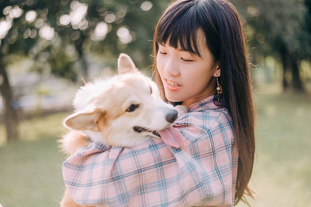 1090322DOG4-018