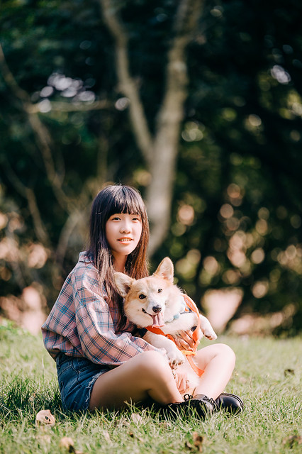 1090322DOG4-015