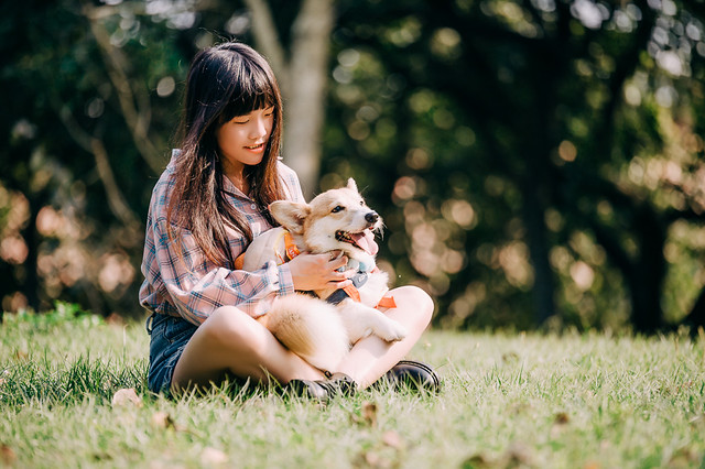 1090322DOG4-014