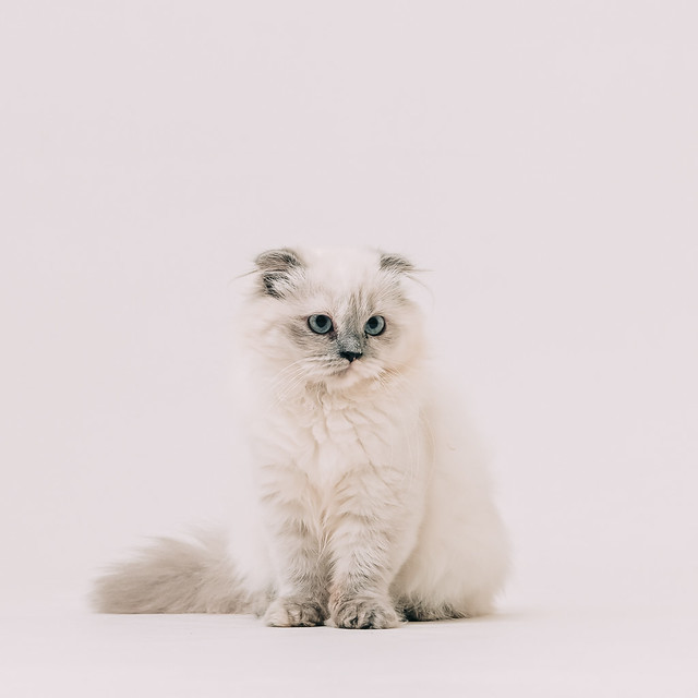 1090322CAT6-003