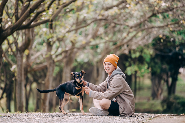1090322dog1-005