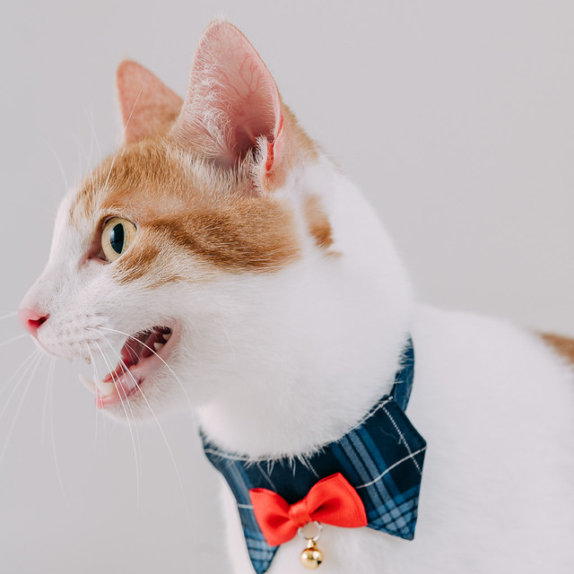 1090322CAT3-008