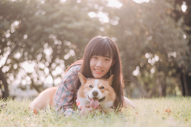1090322DOG4-022